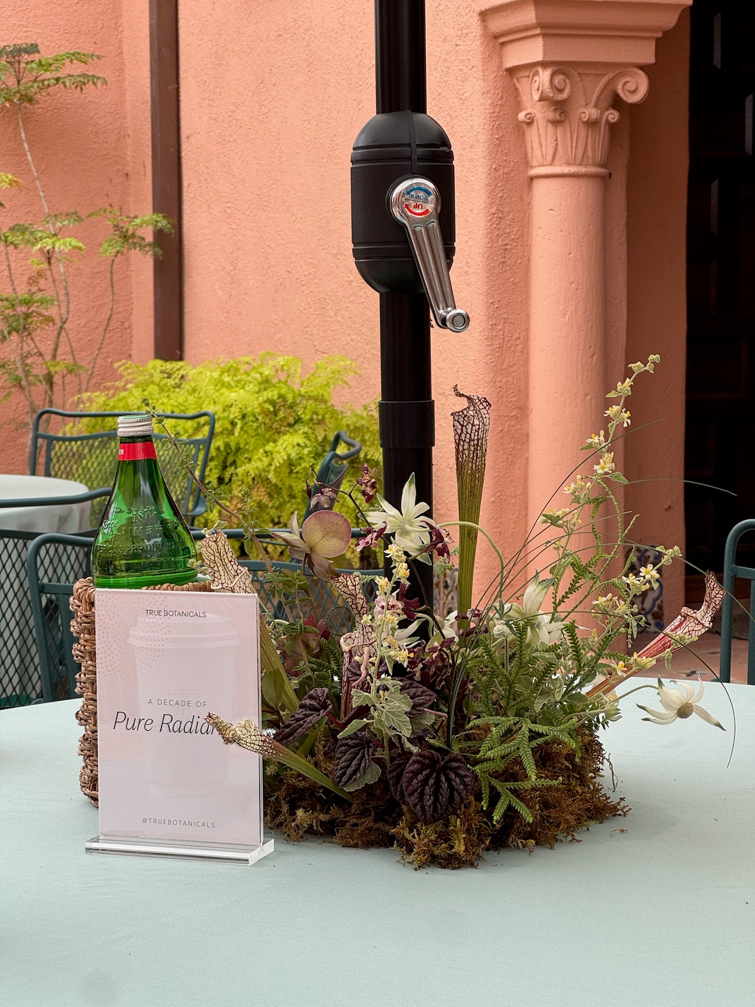Decorative plant arrangement with a bottle and a sign on a table outdoors.